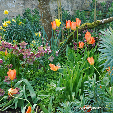 Nettoyage de printemps